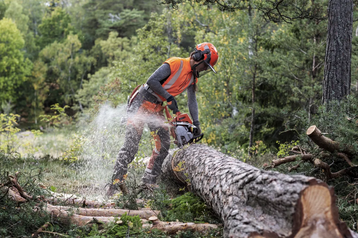 Husqvarna 550 XP® Mark II 